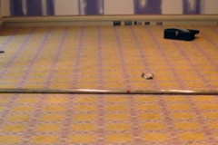 charllotte-job-save-0181